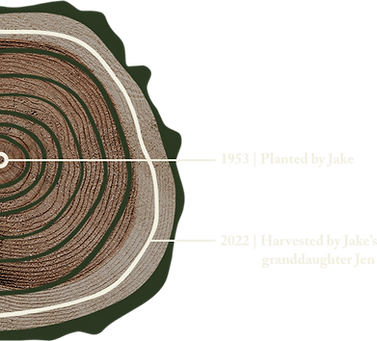 50 years rings - white.png