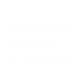 WFI_PrimaryLogo-White_2x 2.png