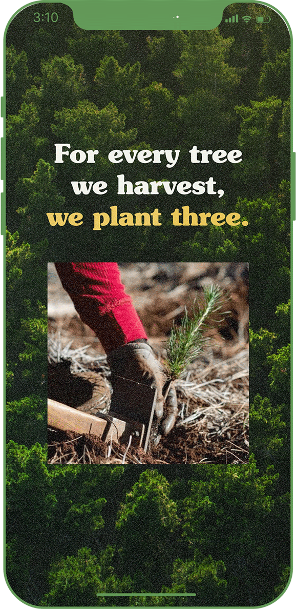 WFI---Phone-Mockup---Stewardship-Plant-three.gif