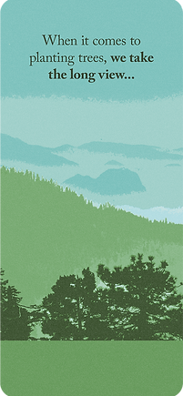 WFI - Lumber_Views_Frame1.png