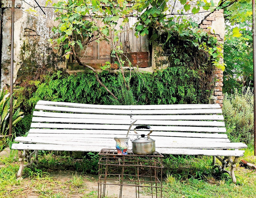 Patio D2 y D3.jpg