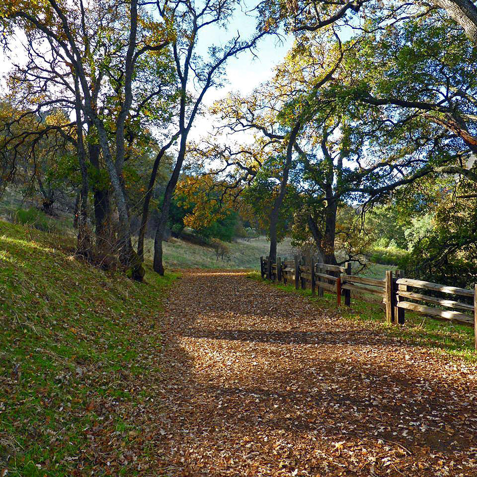 Halloween Hike on Devil Mountain