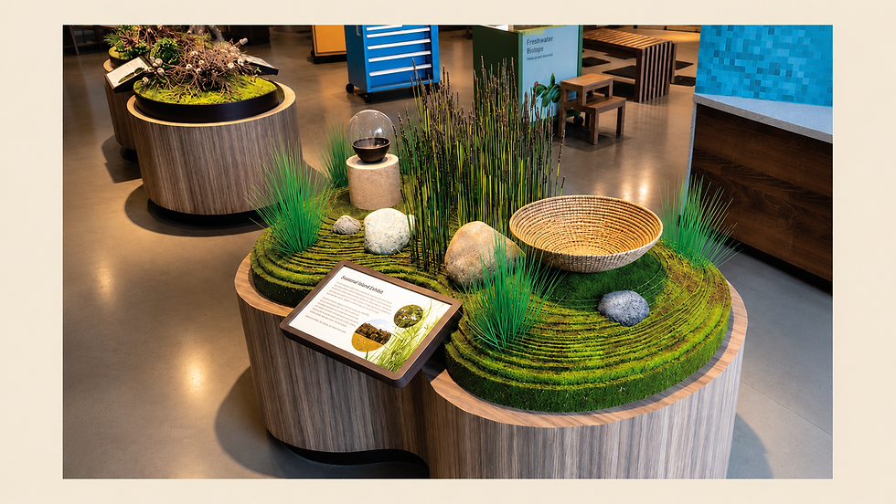 Rotating island exhibits