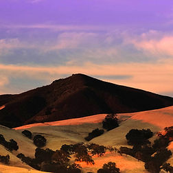 A Beautiful Evening to Remember 