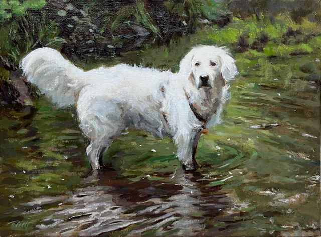 Hond Roxy van George-Jan Le Roy en Petra Visser