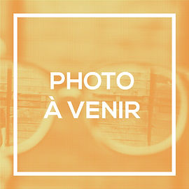 Photoavenir_Jaune.jpg