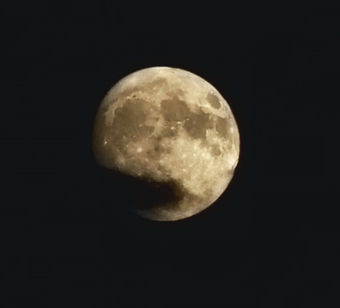 20230730_202901-2.jpg