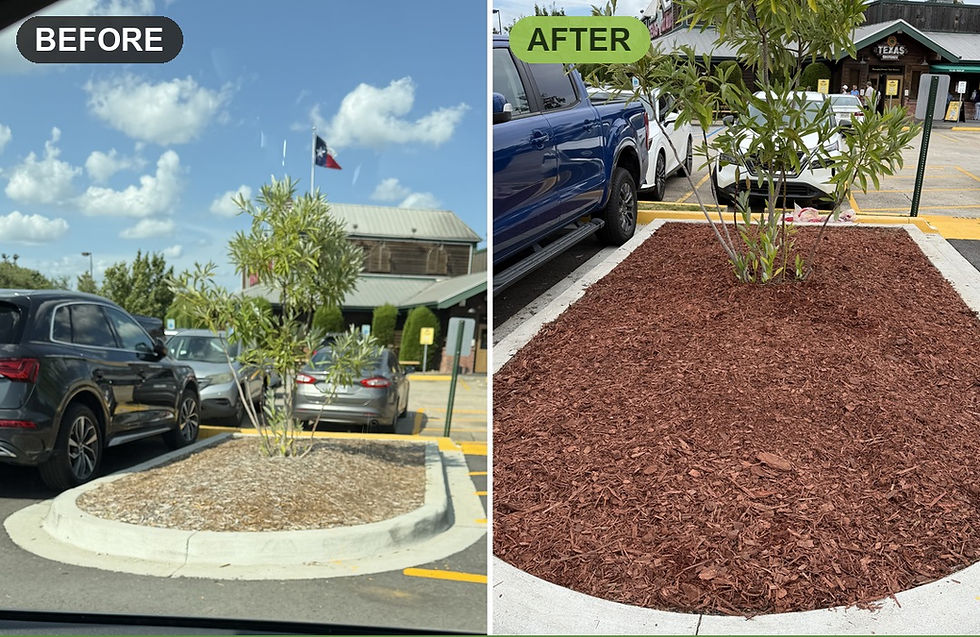 Before and after of mulch installation at Texas Roadhouse in Baton Rouge