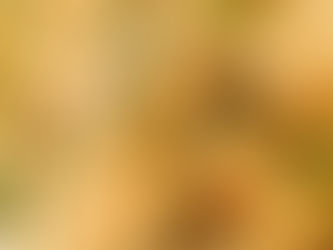 Pollo al Curry con mandorle e latte di cocco