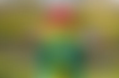 GARDALAND RESORT INAUGURA LA NUOVA STAGIONE DAL 28 MARZO 