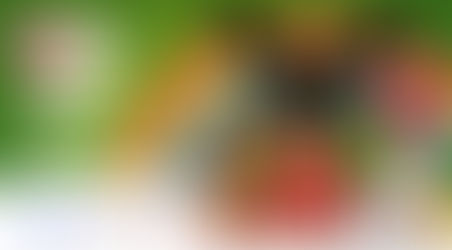 BAMBINI E NATALE: L’IMPORTANZA DELL’ATTESA