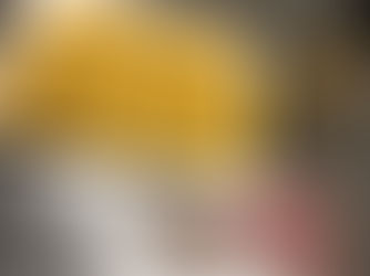 La mora o la Vongola?