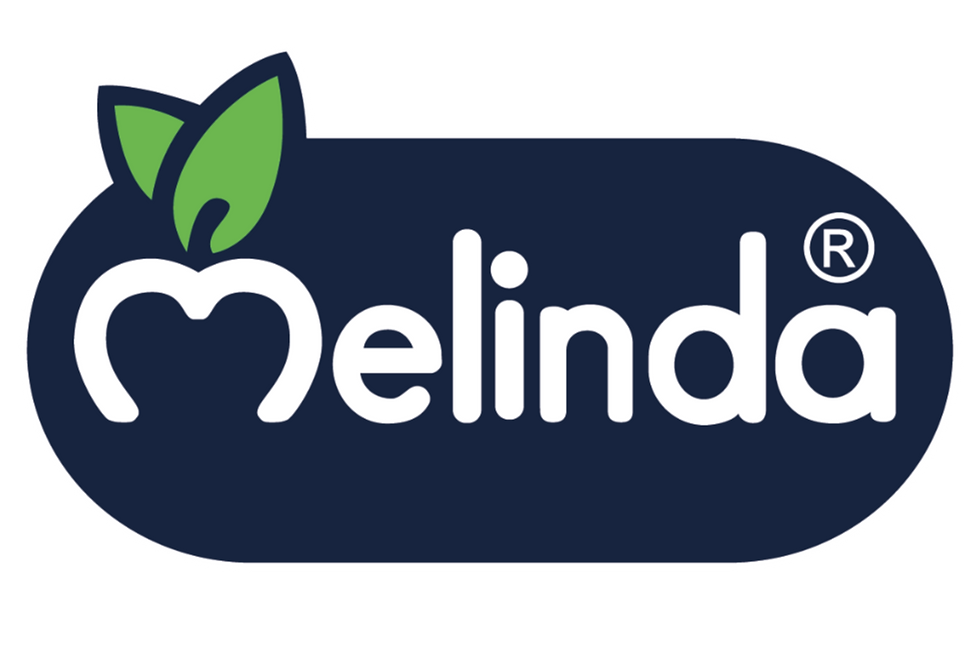 (E)Melinda_logo_pantone_Tavola disegno 1 (3)_edited.png