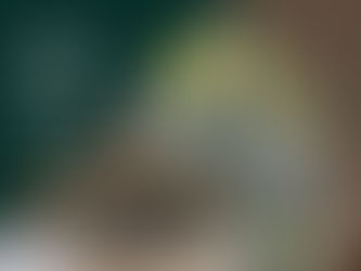 Innovation Portes et Fenêtres Named Best Window Company in Montreal for the Third Consecutive Year