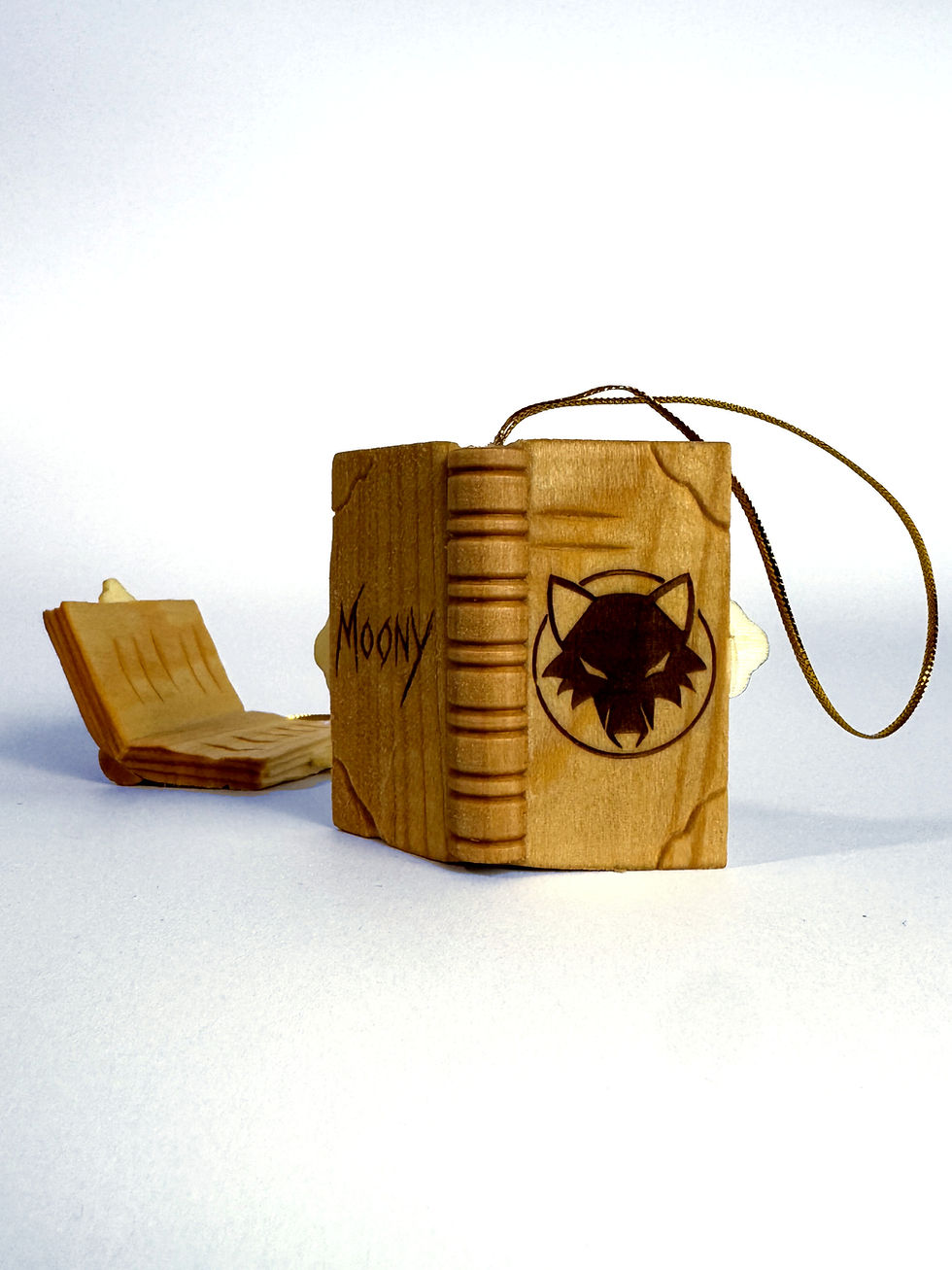 Miniaturbild: Eberkopf Bundle - "Moonys Tagebuch"