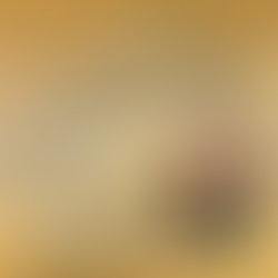 Erica Ann Sipes Performs Piano Works by Women