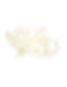 HPF flower
