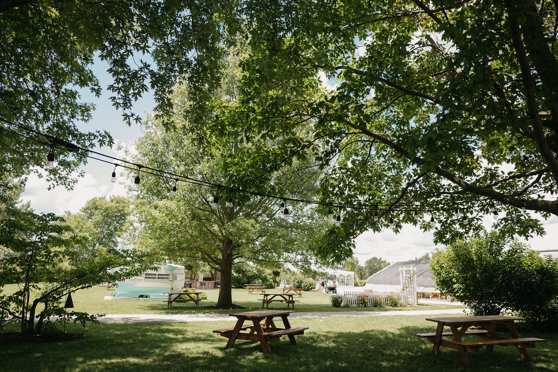 Outdoor Farm to Table Dinner