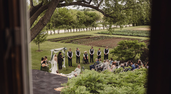 Maple Tree Wedding Ceremony from Above