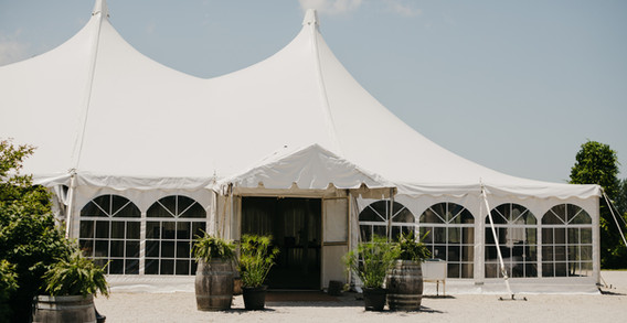 Tent entrance with 2 barrels, ferns and plants on each side