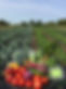 subscription box for local organic produce near St. Charles, Illinois