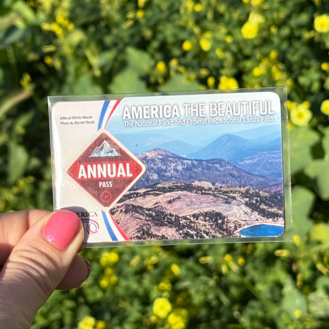 Lassen Volcanic National Park Pass Sleeve
