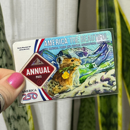 parks card sleeves Peek Beyond the Pika | National Park Pass Sleeve