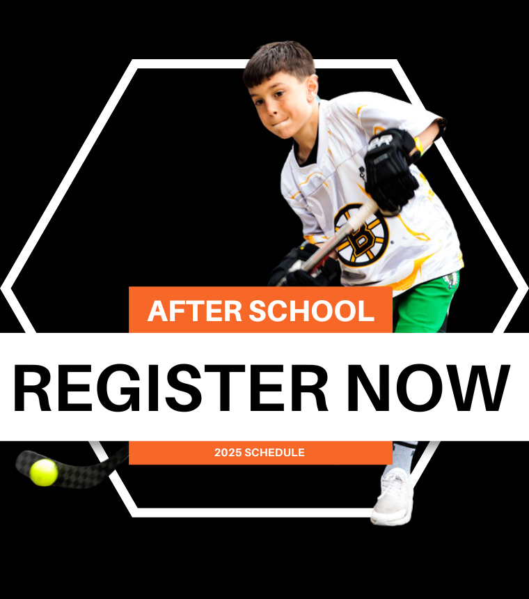Sidekick - NHL Street After-School.png