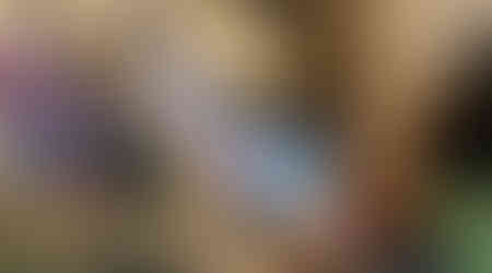 Roland Boncaras leans over a mangrove trunk to pull out a live shipworm.