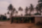Coconut trees sway in the wind beside a simple asbestos-roofed structure, with reddish soil covering the ground.