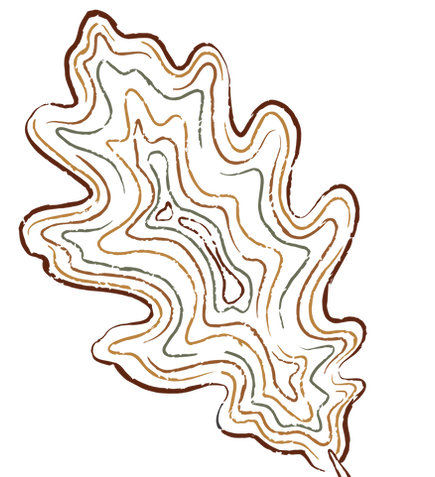 Símbolo Colorido Fundo Transp_edited.png