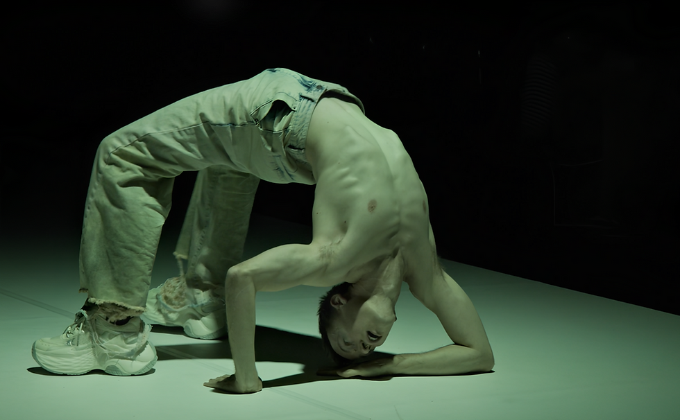 DILUVIO | Nicola Galli