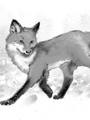 Fox_Final_white.png