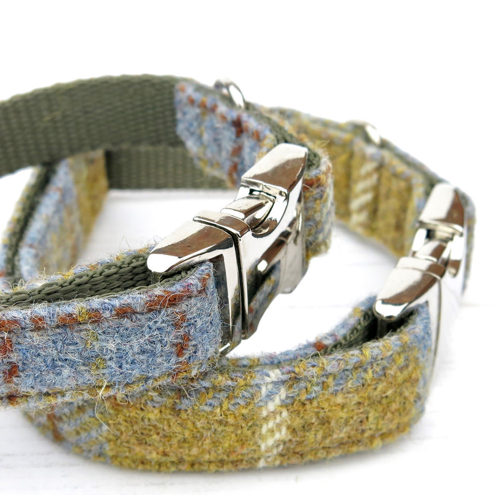 Thumbnail: Blue and Yellow Tweed dog collar