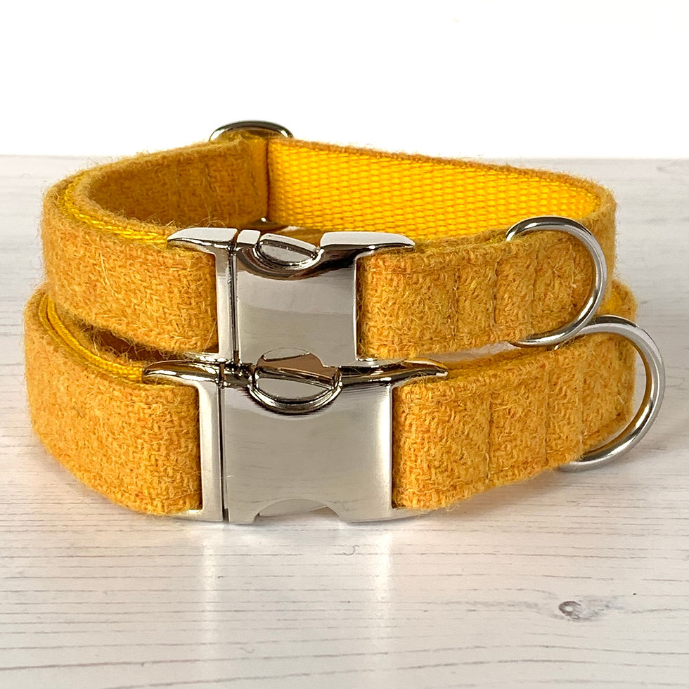 Thumbnail: Harris Tweed dog collars and lead