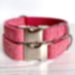 powder pink dog collar