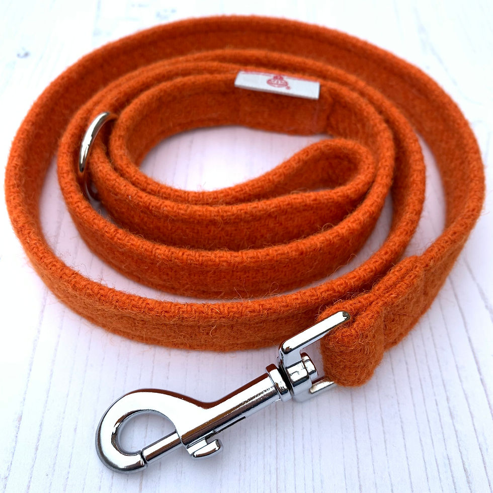 Thumbnail: Tangerine Tweed dog collar