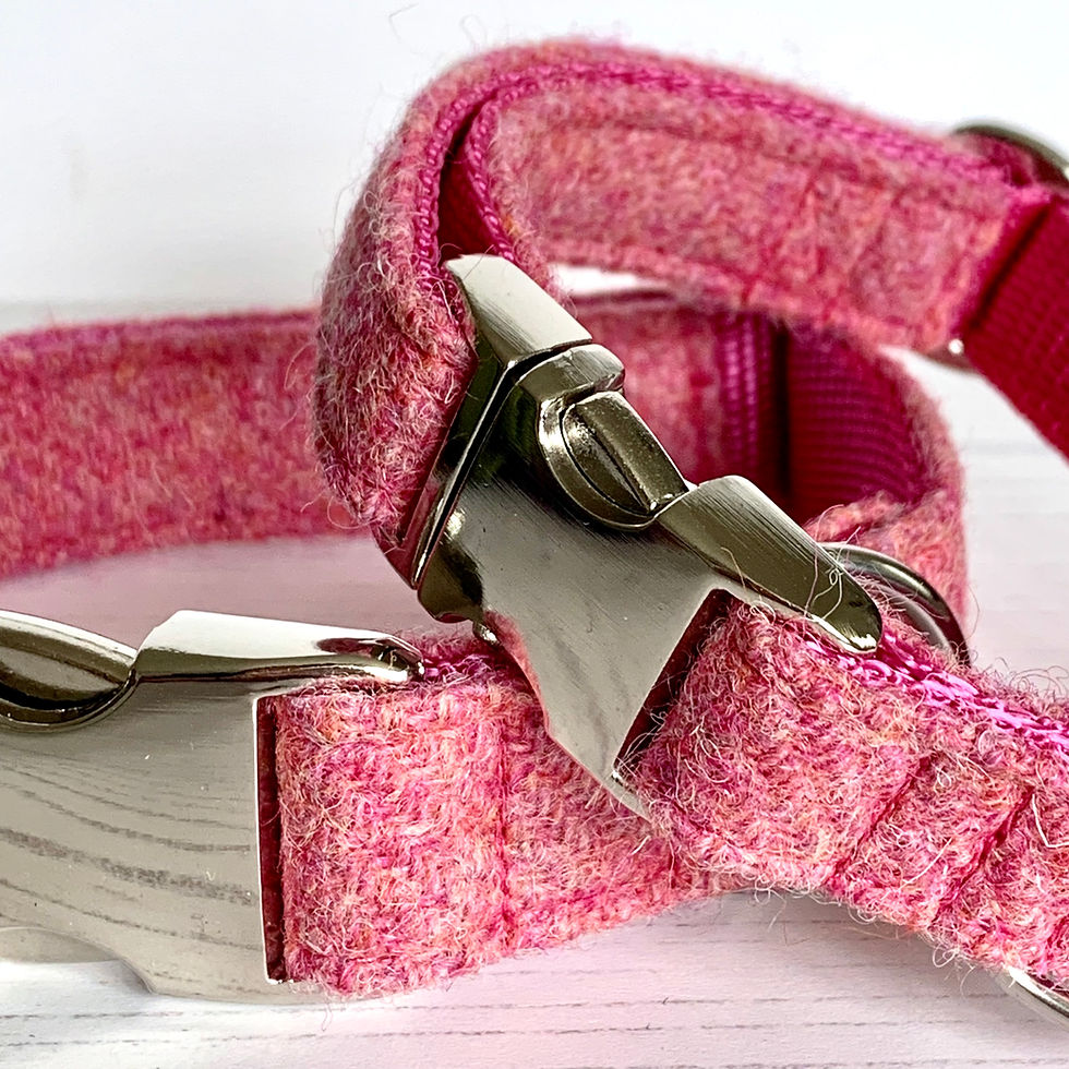 Thumbnail: dog collar