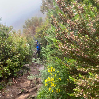 Levada Wanderung