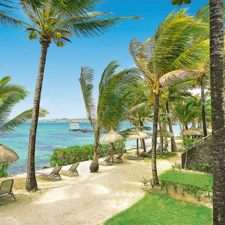 Tropical Attitude