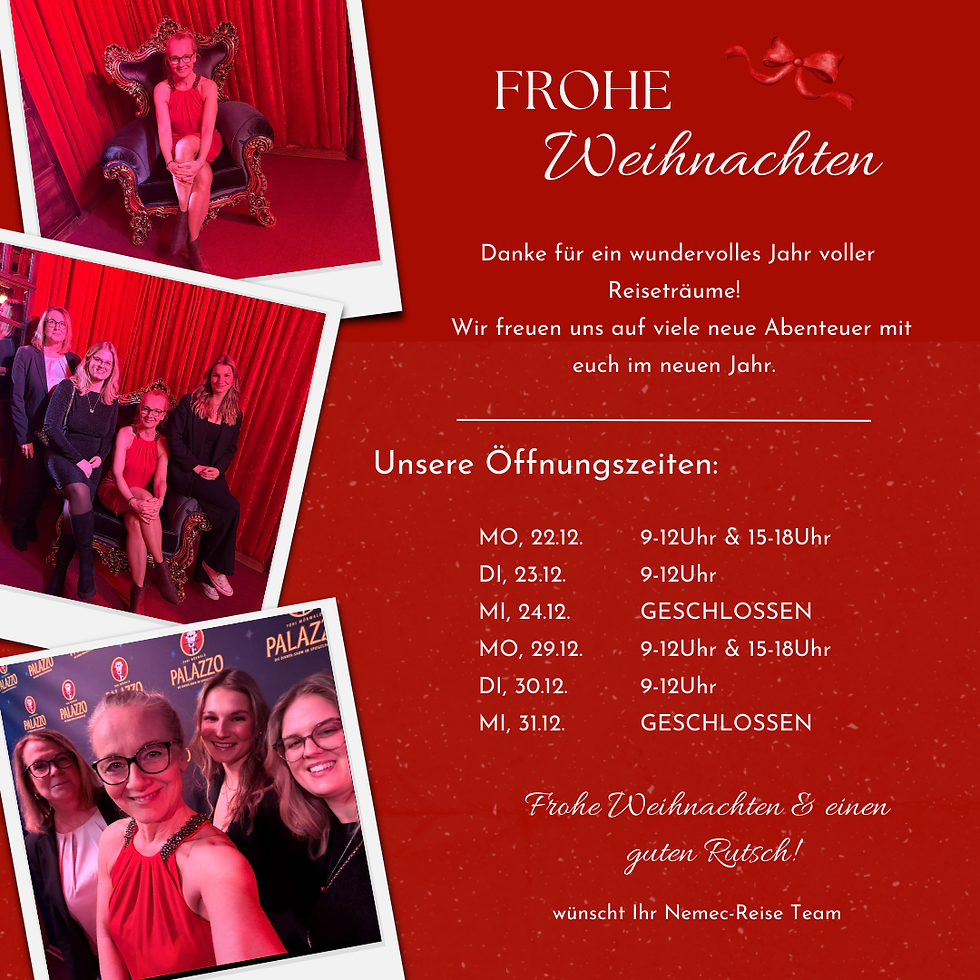 ✨ Frohe Weihnachten ✨