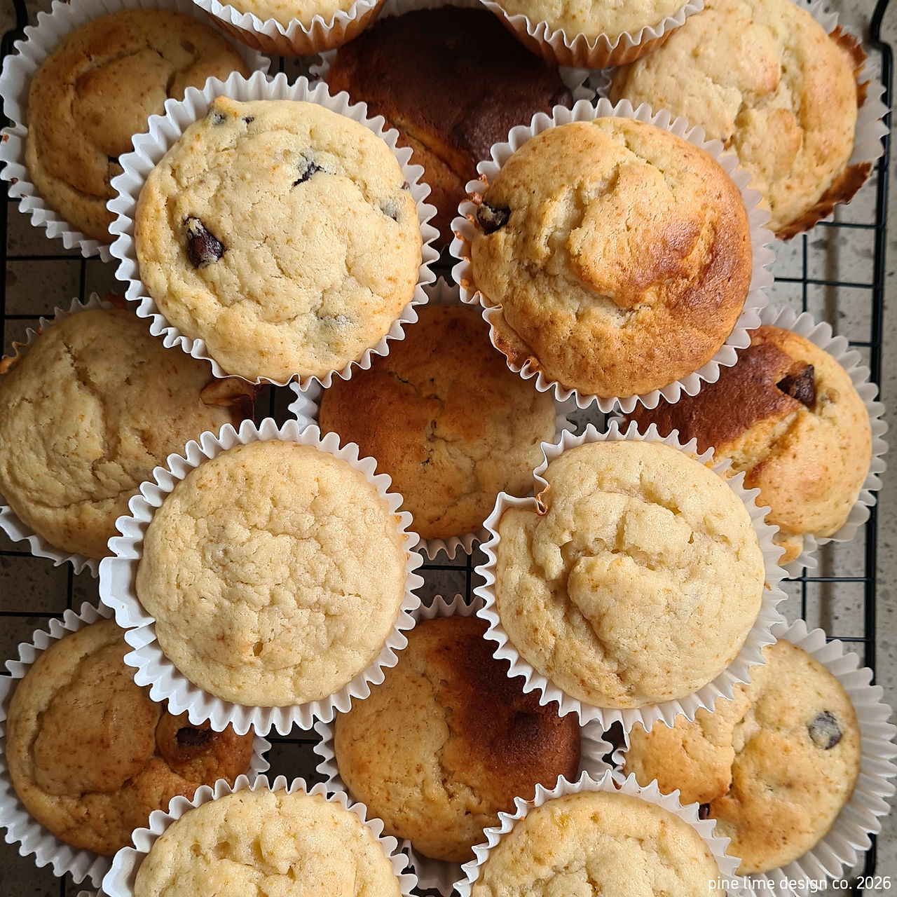 Choc banana muffins