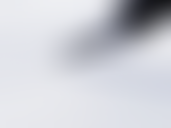 Registro delle imprese e trattamento dei dati personali: l'impatto della recente giurisprudenza della Corte di Giustizia dell'Unione Europea (CGUE)