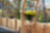Wood Fence Store Near Me Passaic, Morris, Bergen, Essex County NJ