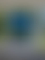 Prepare Your Landscape Design for the Summer in the Bedford and Briarcliff Manor, NY Areas