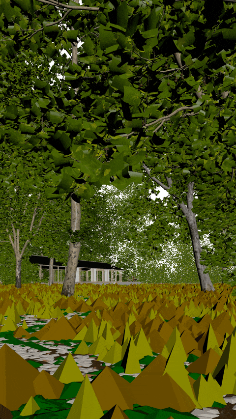 Forest Walk_reel.gif