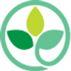 cns-logo_6f033d61_edited.png