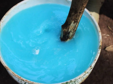 Combate los hongos de tus plantas con el caldo bordelés