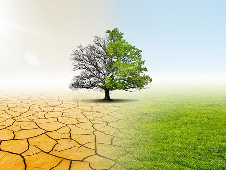 Tecnología e innovación en la agricultura para enfrentar crisis alimentaria y escasez hídrica