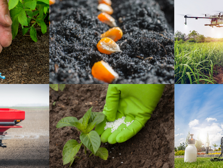 Todo sobre los fertilizantes, macro y micronutrientes